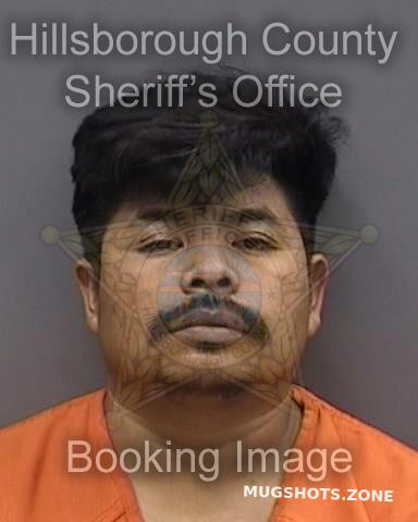 DIAZ HERNANDEZ JAVIER 01/11/2025 - Hillsborough County Mugshots Zone