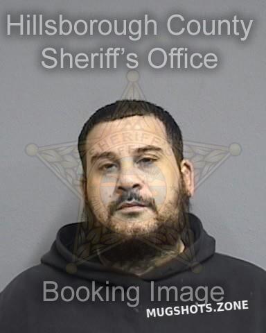SARRIA JOSE 01/22/2025 - Hillsborough County Mugshots Zone