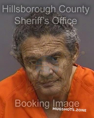 REYES-PEREZ JULIO 01/29/2025 - Hillsborough County Mugshots Zone