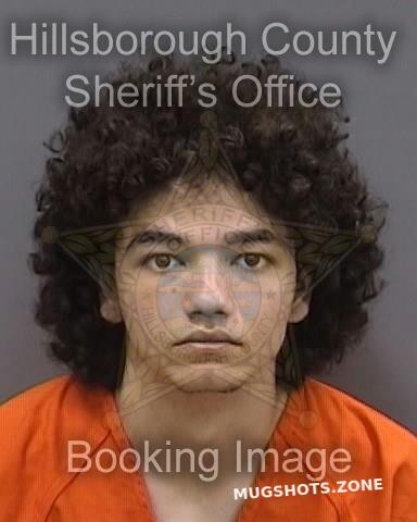 NORTH LIAM 02/09/2025 - Hillsborough County Mugshots Zone