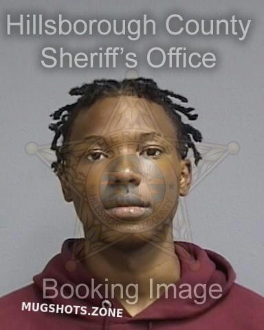 CAVIN LUCIUS 02/19/2025 Hillsborough County Mugshots Zone