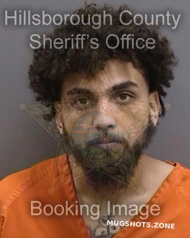 BORRERO ALICEA LUIS 05/25/2025 - Hillsborough County Mugshots Zone