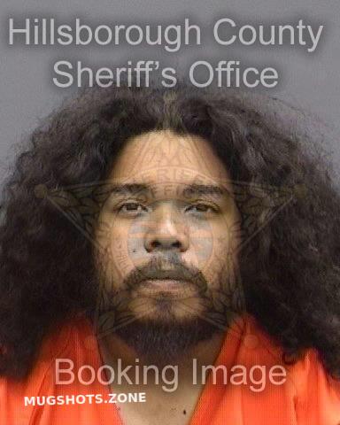 RIOS DANIEL 06/10/2025 - Hillsborough County Mugshots Zone