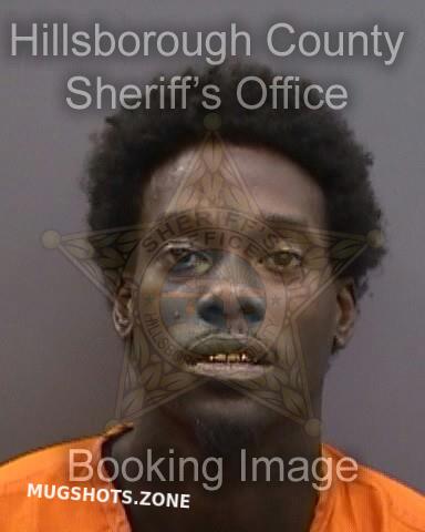 YOUNG RAYVON 08/04/2025 - Hillsborough County Mugshots Zone