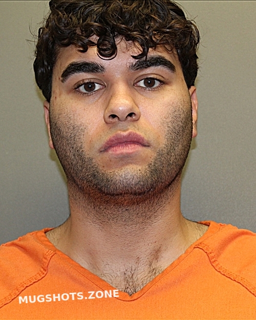 RICHARDSON GAGE PATTON 11/16/2024 Hockley County Mugshots Zone