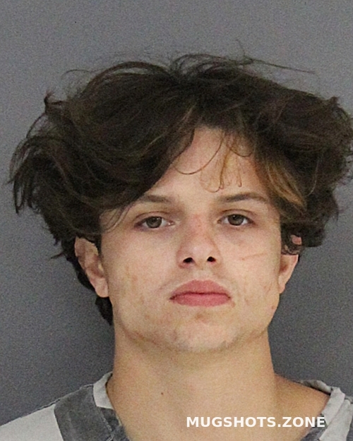 HIGGINS GABRIEL LANE 06/02/2024 Hopkins County Mugshots Zone