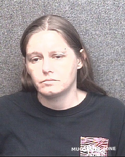 MCCLELLAN BRANDY ANN 01/18/2021 Horry County Mugshots Zone