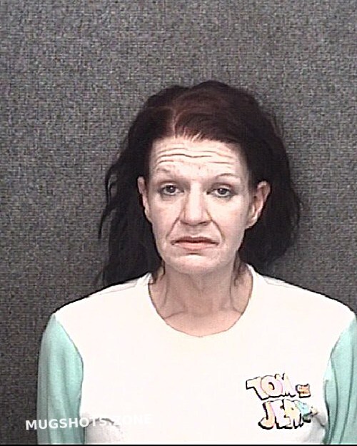 Coale Natasha Ann 11 29 2022 Horry County Mugshots Zone