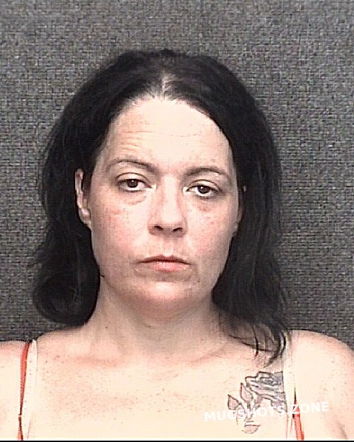 CLINTON RENEE NICHOLE 06/23/2023 Horry County Mugshots Zone