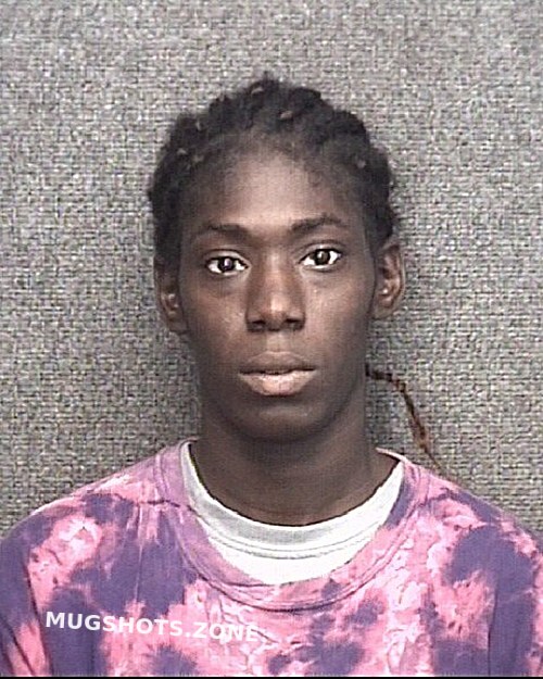 Mcfadden Diana Denise 09 22 2023 Horry County Mugshots Zone