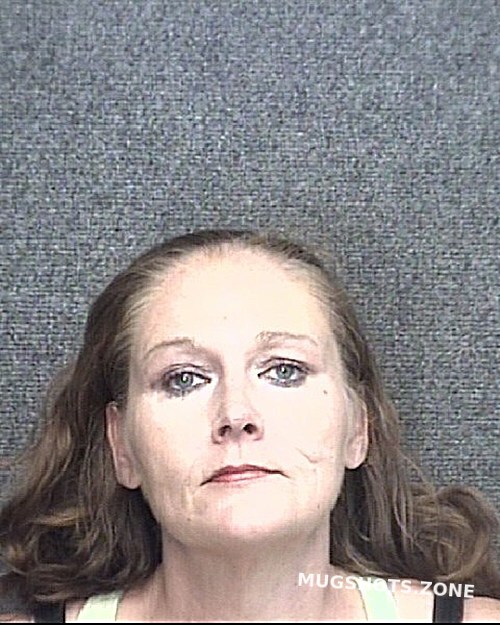 Anderson Alice Ann 10 14 2023 Horry County Mugshots Zone