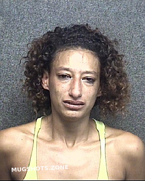 BLADES TANISHA DIANNE 11/04/2023 Horry County Mugshots Zone