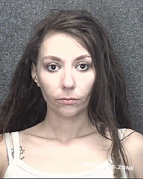MILLER JOSCELYN ROSE 11/12/2023 Horry County Mugshots Zone