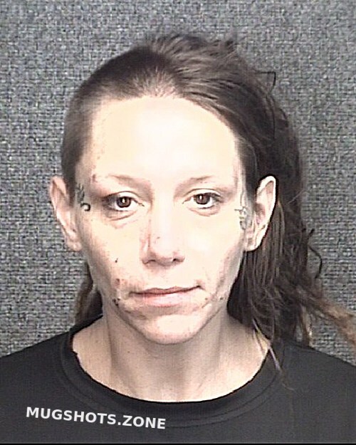 Wartluft Kimberly 11 17 2023 Horry County Mugshots Zone