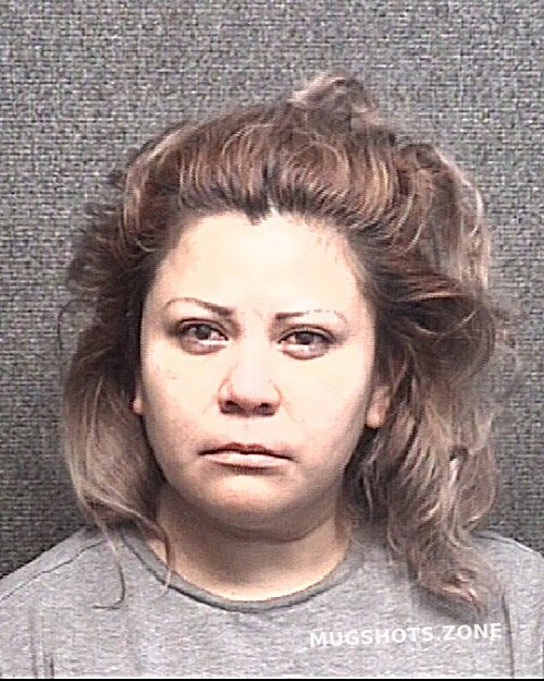 Peraza Reyna 12 03 2023 Horry County Mugshots Zone