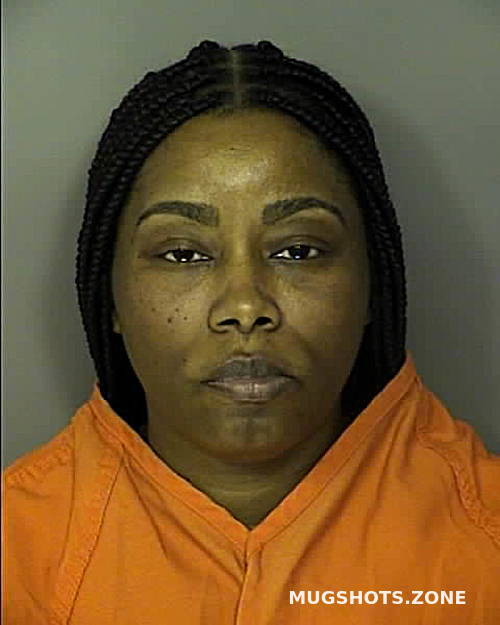 Mugshot Mania The Dark Side Of Online Records Privacy Invasion - 2lrvco3
