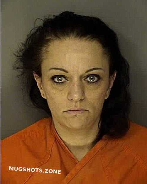 Arwood Stephanie Ann 03 12 2024 Horry County Mugshots Zone