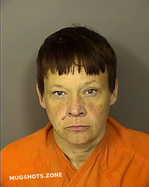 WEDLOCK TONYA LYNN 03/25/2024 - Horry County Mugshots Zone