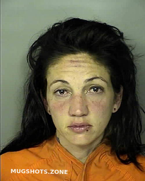 PRESSLEY BRITTANY KEPLEY 04/21/2024 - Horry County Mugshots Zone