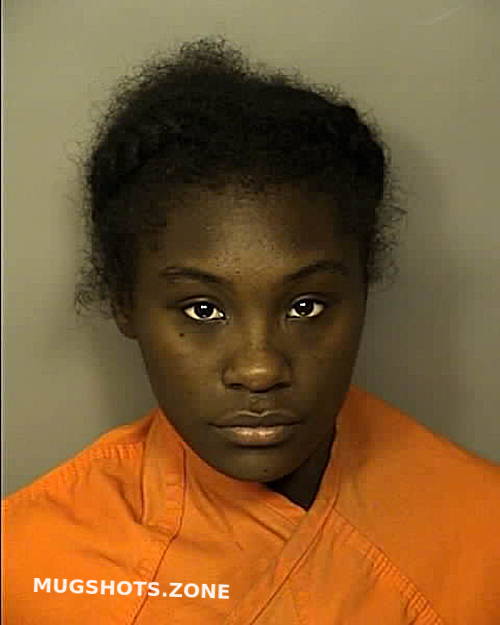 FULLER SHANIA DENISE 06/13/2024 - Horry County Mugshots Zone