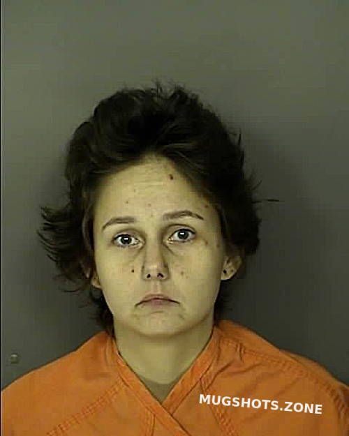 DEW ASHLEY NICOLE 06/13/2024 - Horry County Mugshots Zone