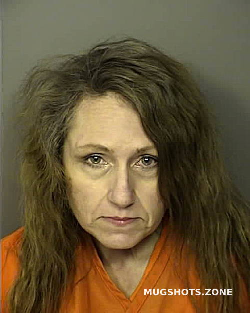 BROWN TONYA ELIZABETH 06/15/2024 Horry County Mugshots Zone