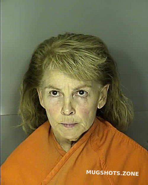 CALLAN CYNTHIA DARLENE 08/20/2024 - Horry County Mugshots Zone