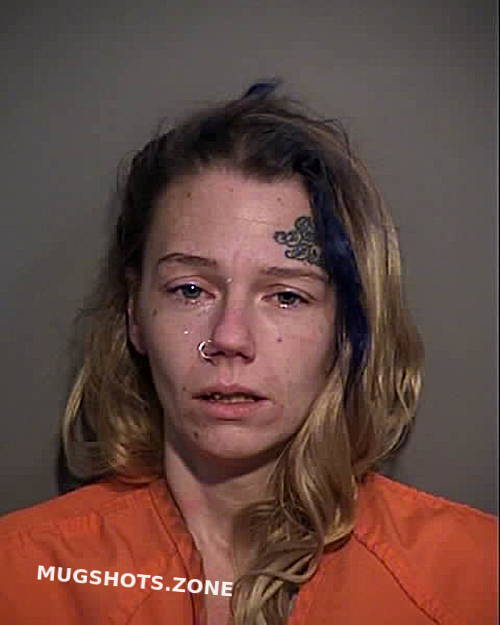 ANDREWS BRIDGET NICOLE 01/24/2025 - Horry County Mugshots Zone