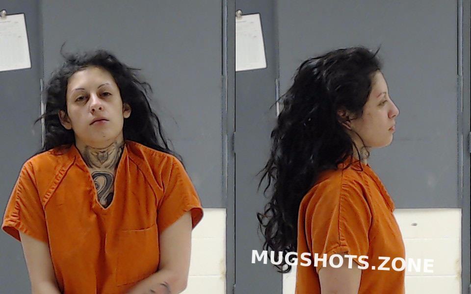 rivas-daisy-marie-03-08-2021-hunt-county-mugshots-zone