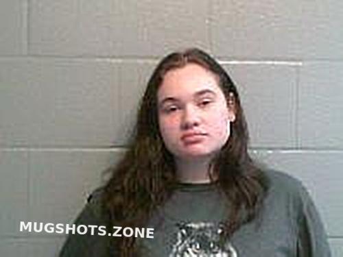 COLLINS ERIN ELAINE 04/03/2024 - Huron County Mugshots Zone