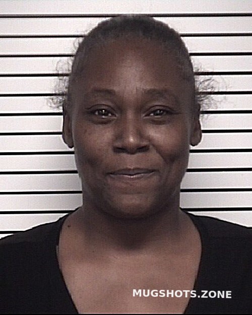 SNYDER SHELLY RENEE 09/12/2023 - Iredell County Mugshots Zone