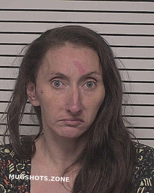 SIMPSON DEANNA MARIE 08/20/2025 Iredell County Mugshots Zone