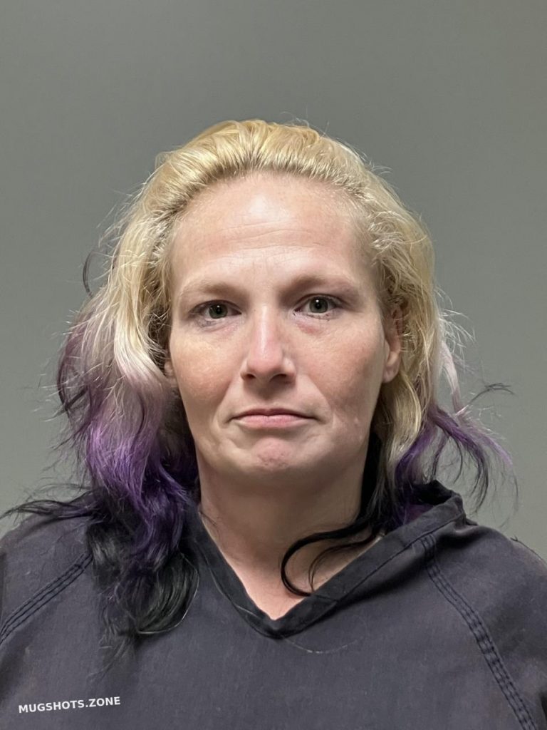 REED NICOLE LYNN 11/08/2024 - Isabella County Mugshots Zone