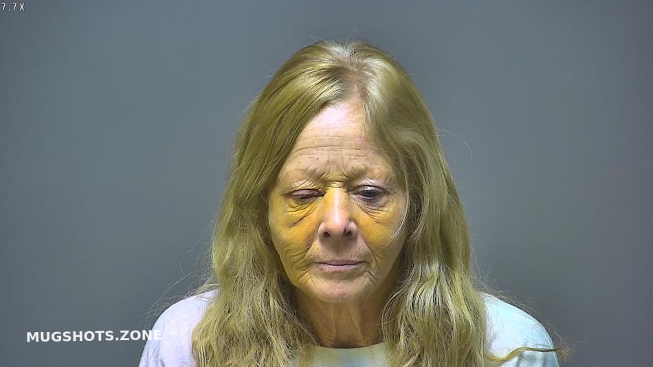 COOK LAUREEN FAY 12/03/2024 Isabella County Mugshots Zone