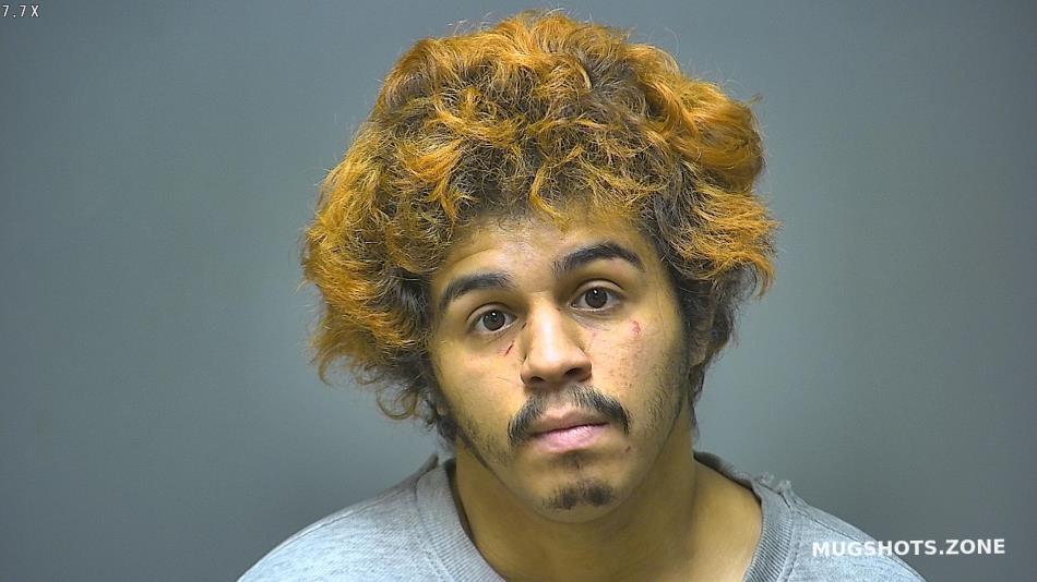 GONZALEZ STACEY 12/03/2024 Isabella County Mugshots Zone