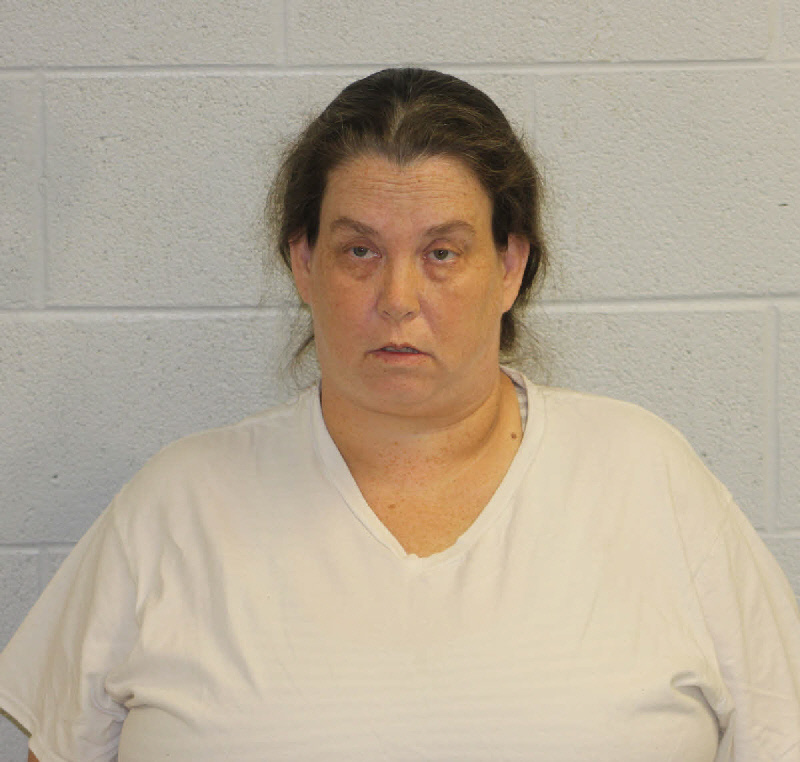 TAYLOR STEPHANIE ANN 01/31/2021 Mugshot, Jackson County, North Carolina