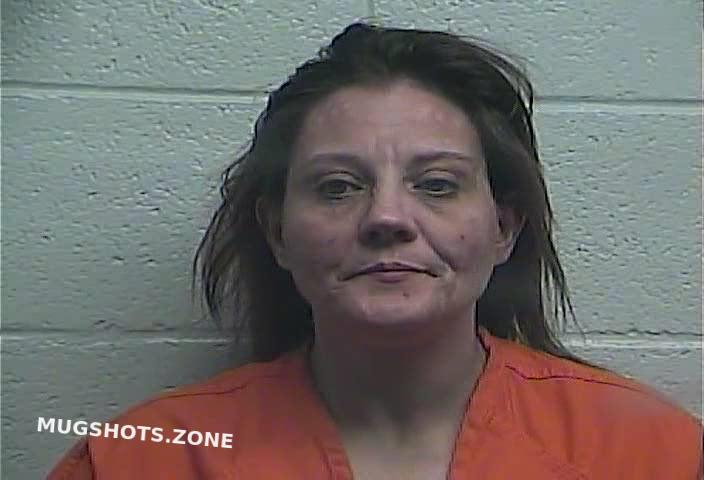 Wright Jessica 02 07 2024 - Jessamine County Mugshots Zone