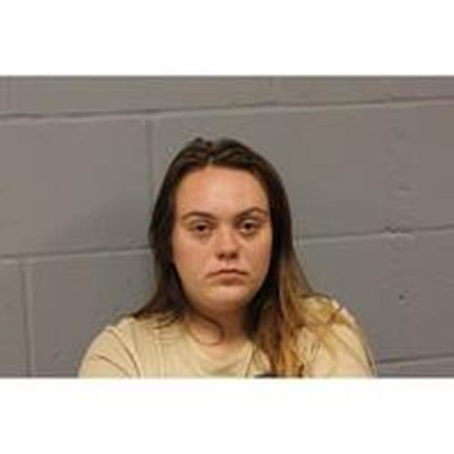 SYDNEY JOHNSON 06/18/2023 Johnson County Mugshots Zone