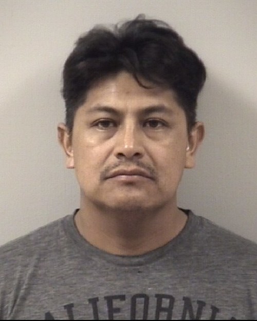 Levi Isidoro Velasco Hernandez Johnston County Mugshots Zone My XXX