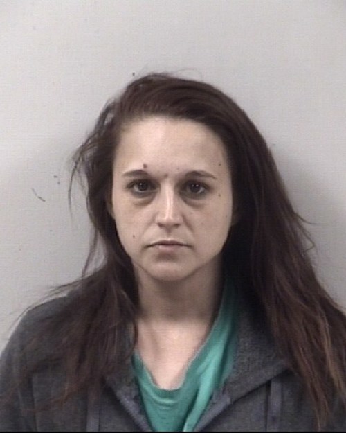 RACHEAL M HAMER 04/02/2021 - Johnston County Mugshots Zone