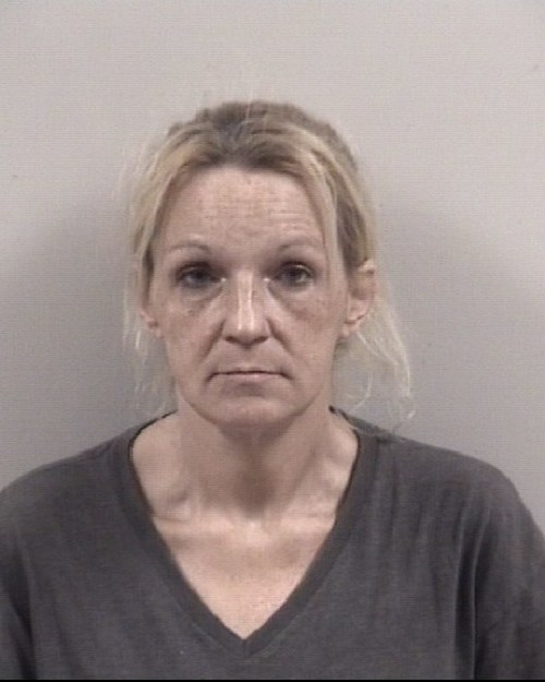 DARLENE MARIE RIPLEY 04/06/2021 Johnston County Mugshots Zone