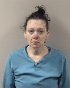 mugshots johnston