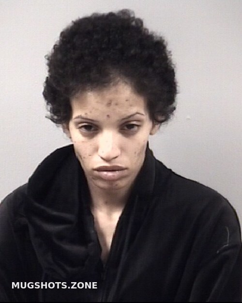 RACHEL ELIZABETH LAVALLE 01/05/2022 Johnston County Mugshots Zone