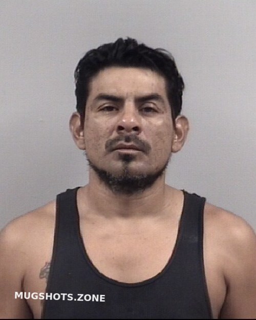 JOSUE MAURICIO VENTURA 01/06/2022 Johnston County Mugshots Zone