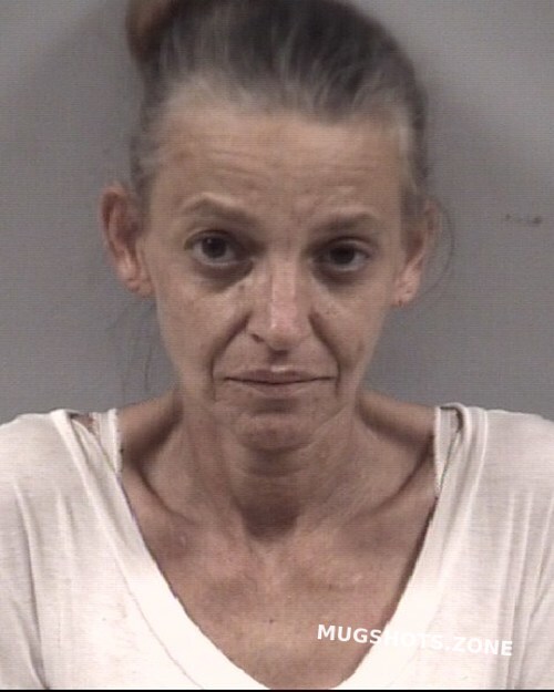 Brandie Lynn Holmes 07222022 Johnston County Mugshots Zone 