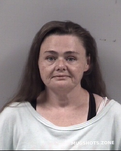 BRANDY LYNN DUFRESNE 09/26/2022 Johnston County Mugshots Zone