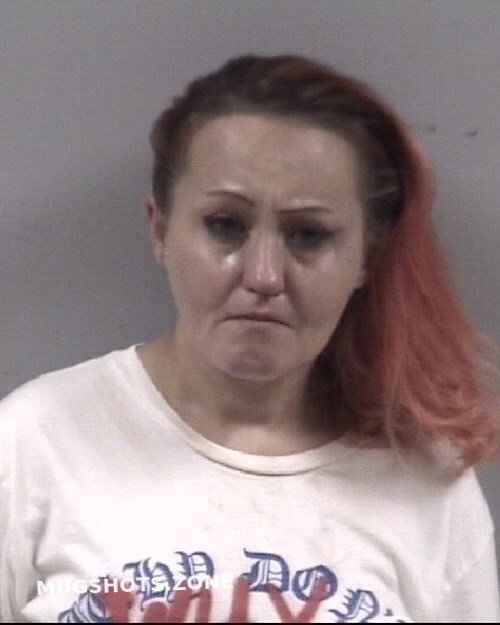 Stacy Gibertbennetts 11042022 Johnston County Mugshots Zone 