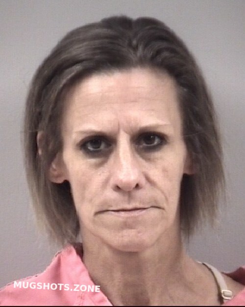 TANYA ALMON JOHNSON 11/24/2022 Johnston County Mugshots Zone
