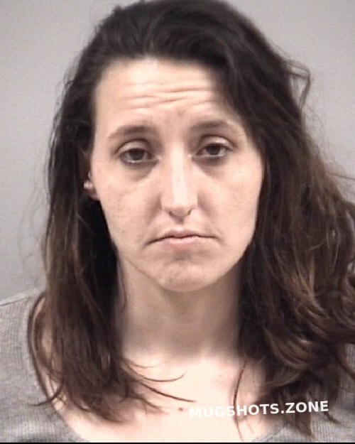 TIFFANY ELISE HOLLOWAY 01/31/2023 - Johnston County Mugshots Zone