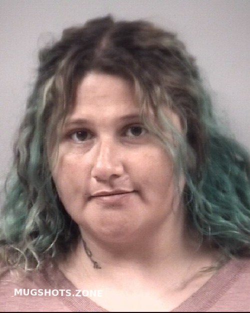 Cayla Rae Pynacker 03302023 Johnston County Mugshots Zone 